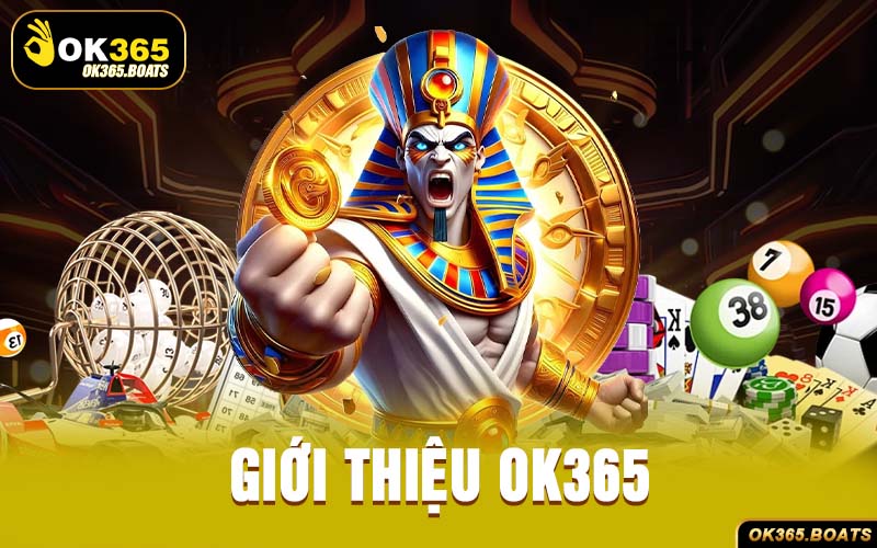 Giới Thiệu Ok365
